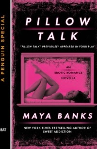 Pillow Talk: A Penguin Special from Berkley
