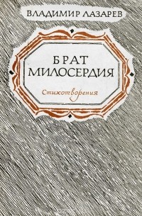 Владимир Лазарев - Брат милосердия