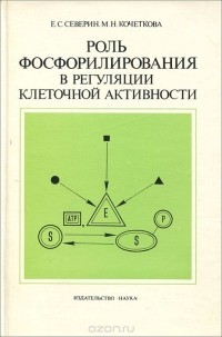  - Роль фосфорилирования в регуляции клеточной активности