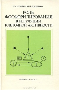  - Роль фосфорилирования в регуляции клеточной активности