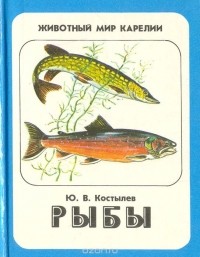 Юрий Костылев - Рыбы