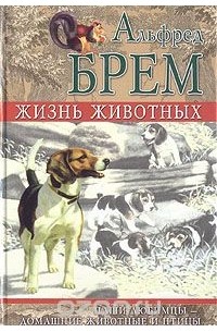 Жизнь животных. Наши любимцы - домашние животные и птицы