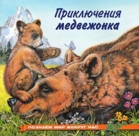 Ирина Гурина - Приключения медвежонка
