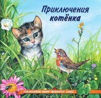 Ирина Гурина - Приключения котенка