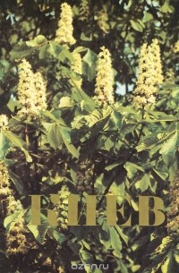 Григорий Логвин - Киев