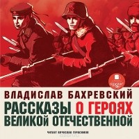 Владислав Бахревский - Рассказы о героях Великой Отечественной (сборник)