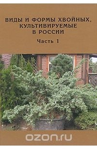  - Виды и формы хвойных, культивируемые в России. Часть 1