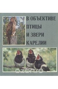 без автора - В объективе птицы и звери Карелии