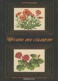 Александра Филатова - Цветы на балконе