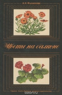 Александра Филатова - Цветы на балконе