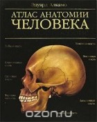 Эдуард Алкамо - Атлас анатомии человека