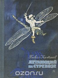 Павел Катаев - Летающий на стрекозе
