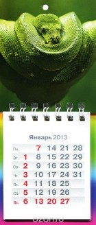  - Календарь 2013 (на спирали). Змея