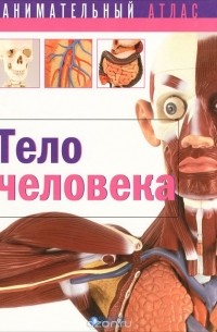 Тело человека