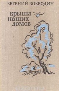 Евгений Воеводин - Крыши наших домов