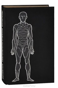 Основные невропатологические синдромы