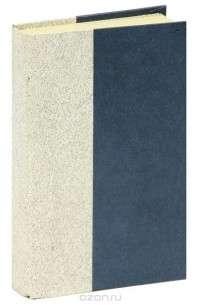 Капитан. Мальчик с нашей улицы