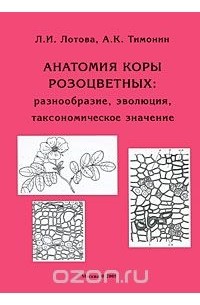 Анатомия коры розоцветных. Разнообразие, эволюция, таксономическое значение