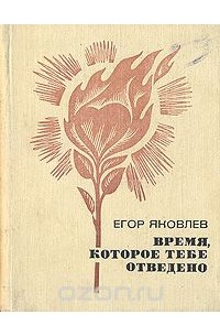 Егор Владимирович Яковлев - Время, которое тебе отведено