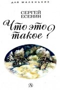 Сергей Есенин - Что это такое? (сборник)