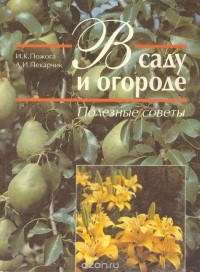  - В саду и огороде