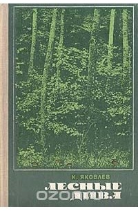 Лесные дива