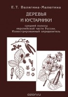 Евгения Валягина-Малютина - Деревья и кустарники средней полосы европейской части России