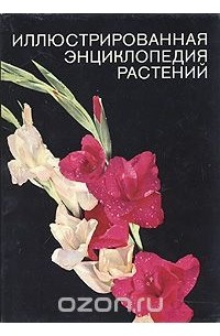 Иллюстрированная энциклопедия растений