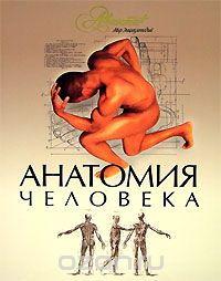 А. А. Швырев - Анатомия человека