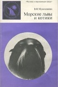 Вадим Мужчинкин - Морские львы и котики