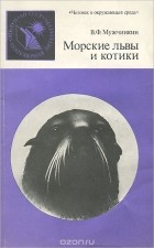 Вадим Мужчинкин - Морские львы и котики