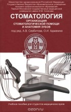  - Стоматология. Организация стоматологической помощи и анатомия зубов. Учебное пособие