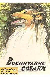 Воспитание собаки