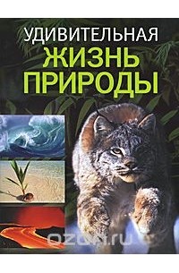 Удивительная жизнь природы