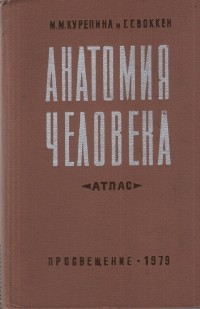 - Анатомия человека. Атлас