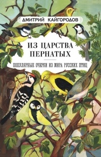 Дмитрий Кайгородов - Из царства пернатых. Популярные очерки из мира русских птиц