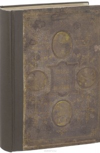 Гнезда, норы и логовища