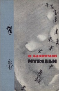 Муравьи