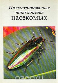 В. Станек - Иллюстрированная энциклопедия насекомых