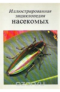 Иллюстрированная энциклопедия насекомых