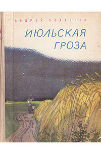 Июльская гроза