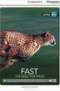 Fast: The Need for Speed: Level A1+