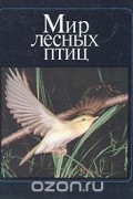 Михаил Штейнбах - Мир лесных птиц
