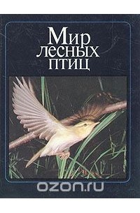 Михаил Штейнбах - Мир лесных птиц