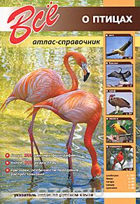  - Все о птицах