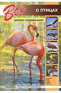 Все о птицах