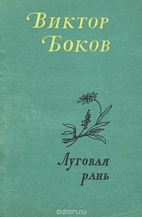 Виктор Боков - Луговая рань