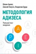 Методология Адизеса. Реальный опыт внедрения