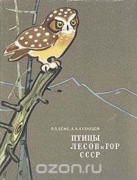  - Птицы лесов и гор СССР. Полевой определитель