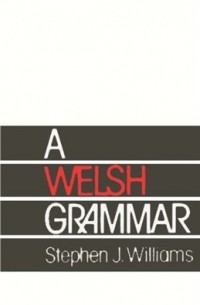 Stephen J. Williams - A Welsh grammar